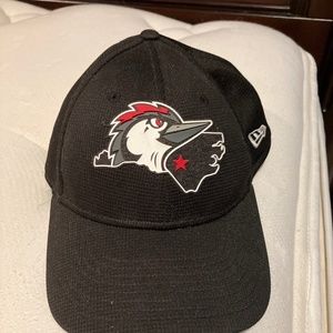 Fayetteville woodpecker hat